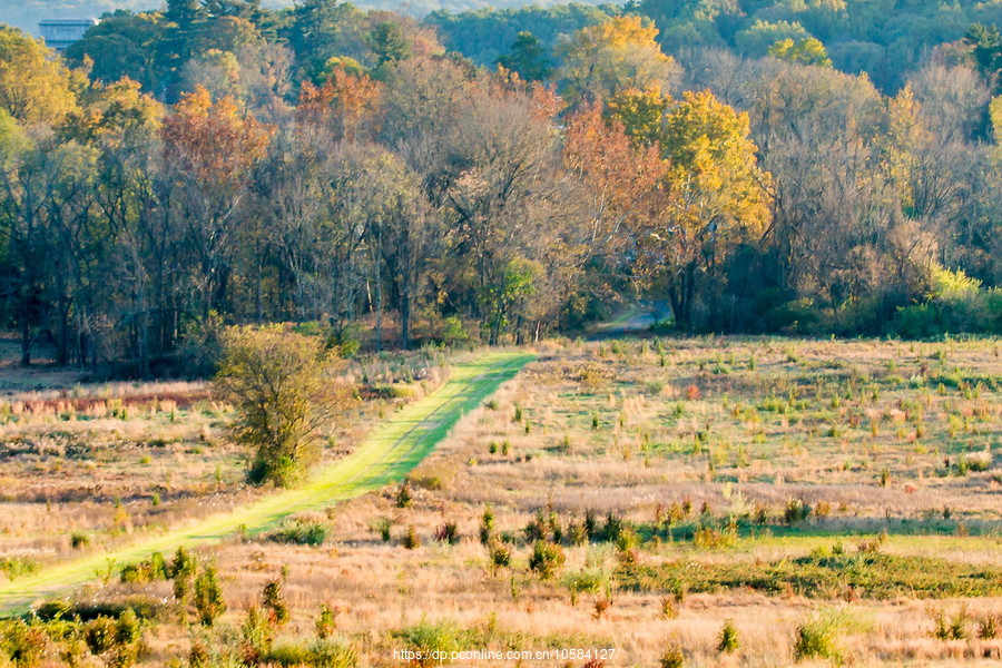 ݵĸ(Valley Forge)֮ɫ