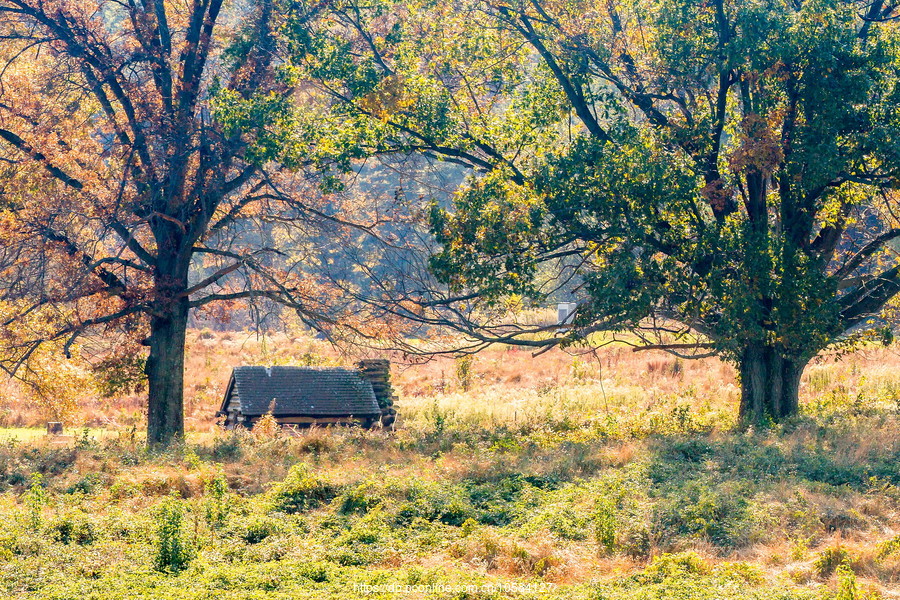 ݵĸ(Valley Forge)֮ɫ