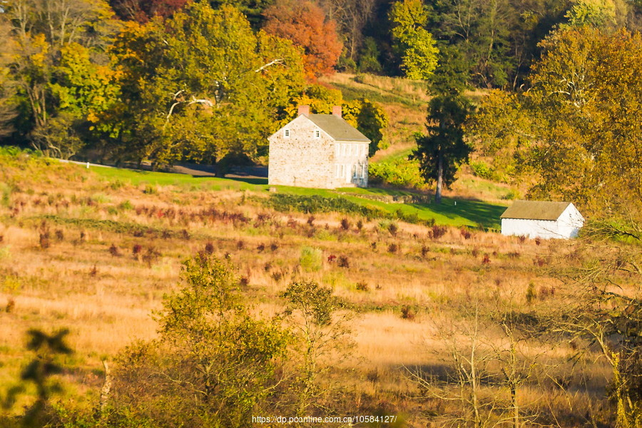 ݵĸ(Valley Forge)֮ɫ