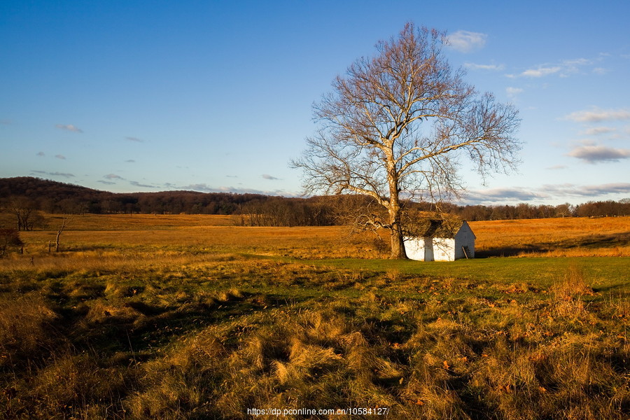 ݵĸ(Valley Forge)֮ɫ