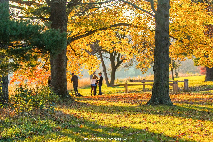 ݵĸ(Valley Forge)֮ɫ