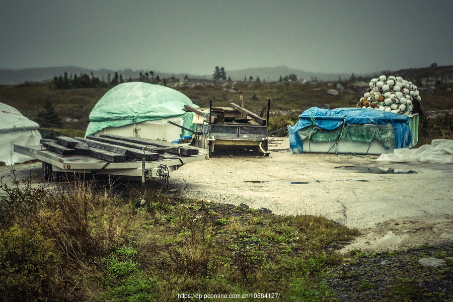 ô弪(Peggys Cove)Сۼ