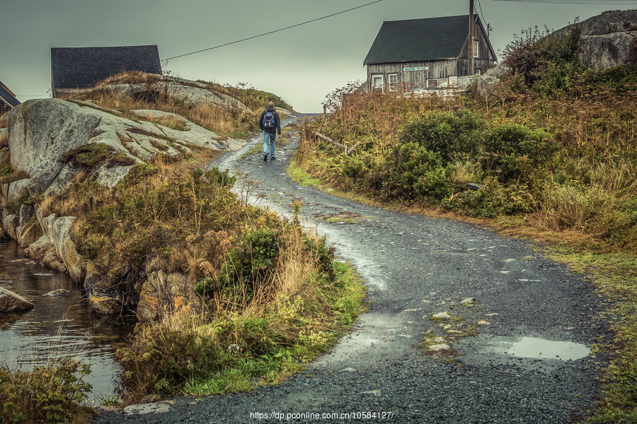 ô弪(Peggys Cove)Сۼ