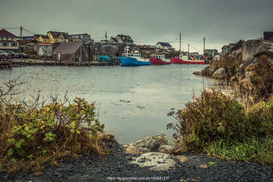 ô弪(Peggys Cove)Сۼ