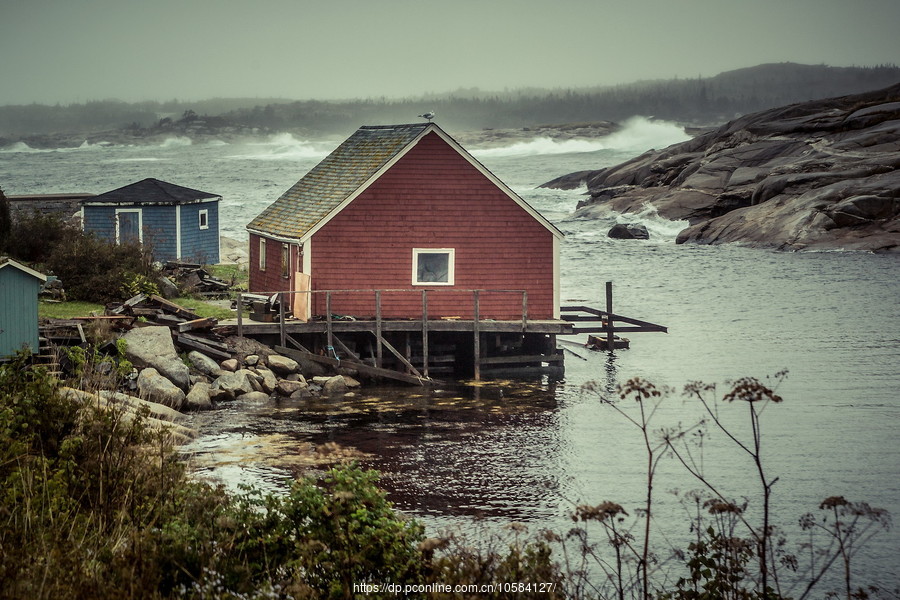 ô弪(Peggys Cove)Сۼ