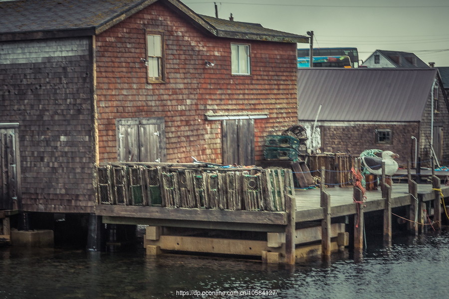 ô弪(Peggys Cove)Сۼ