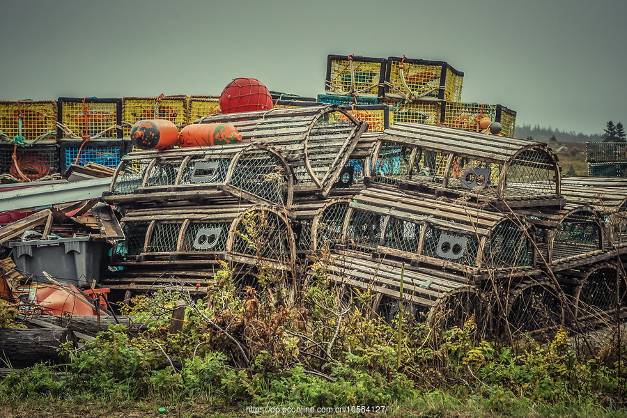 ô弪(Peggys Cove)Сۼ