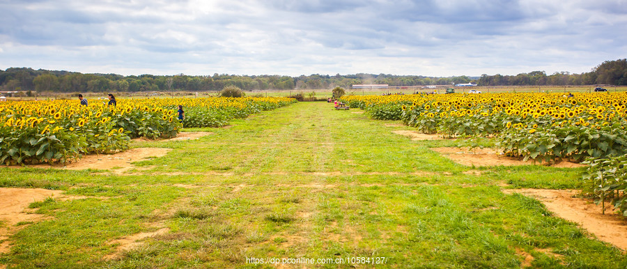 ũ(Holland Ridge Farms, NJ)Ƭտ