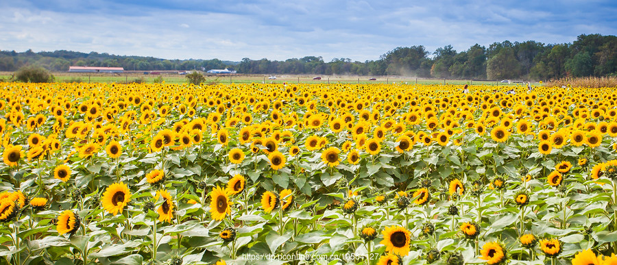 ũ(Holland Ridge Farms, NJ)Ƭտ