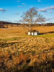 ݵĸ(Valley Forge)