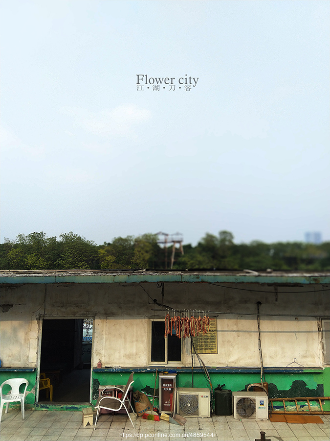 Flower city-43