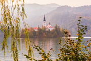 ˹ǲº(Lake Bled)н