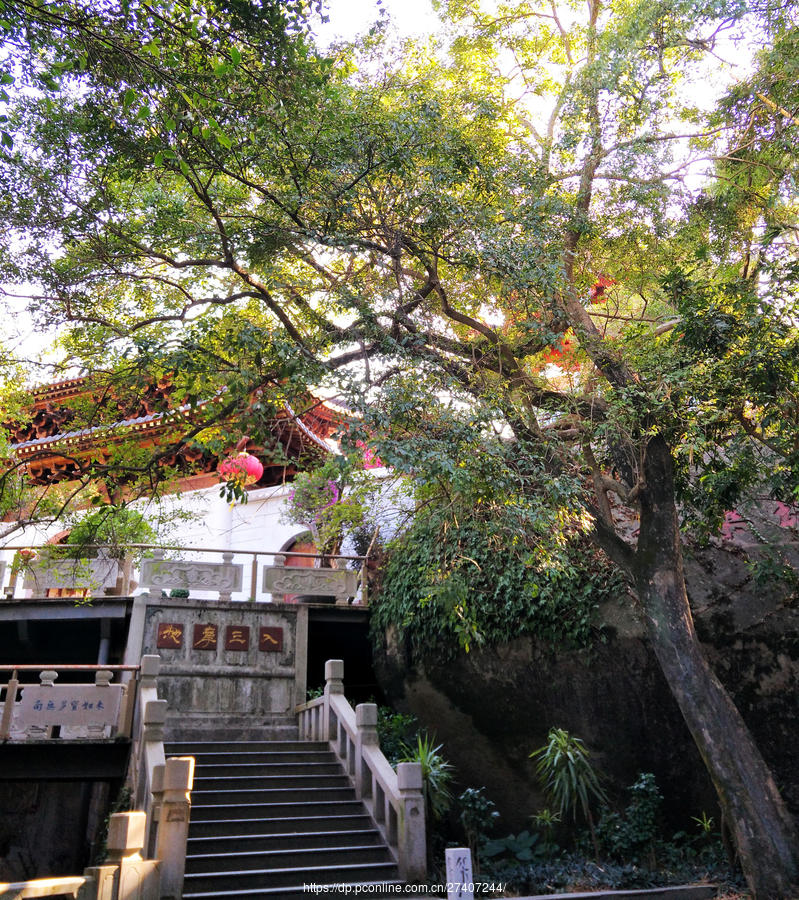 厦门植物园太平岩寺图片