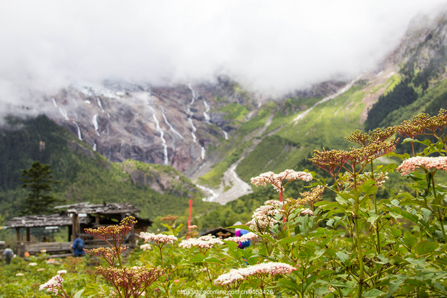 香格里拉旅游