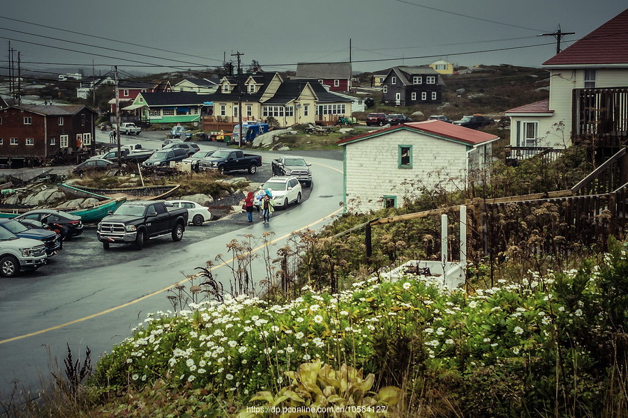 ô弪(Peggys Cove)ϸ