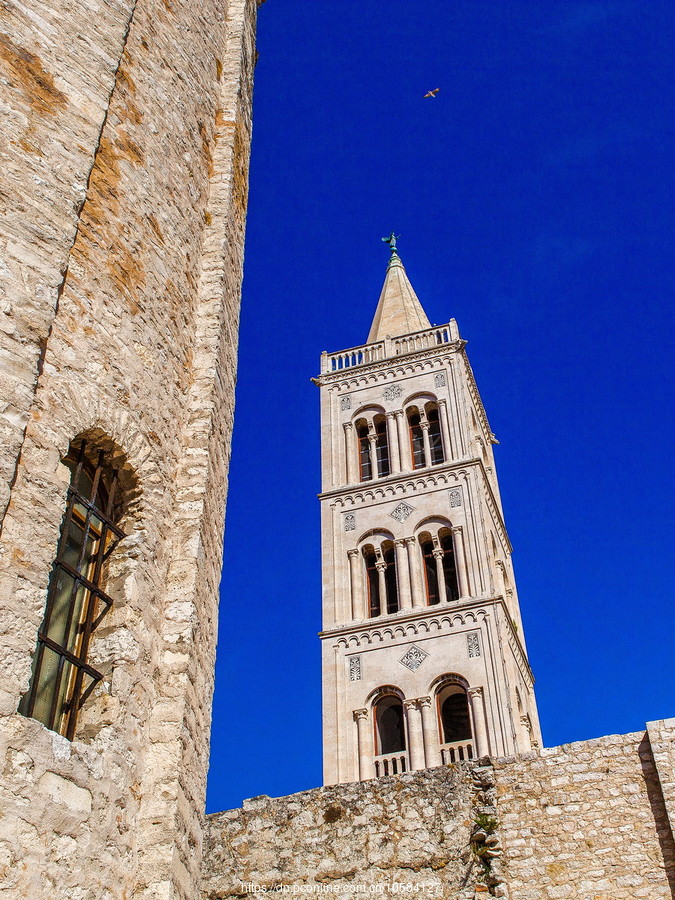 ޵(Zadar)ż