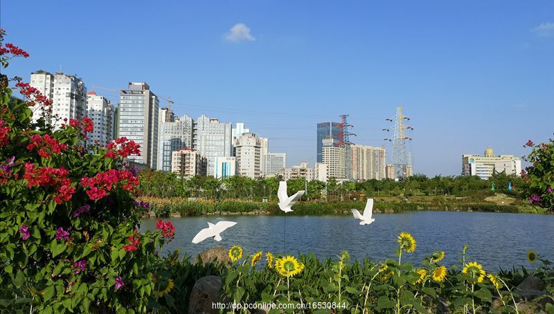 湛江市银帆公园图片