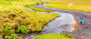 ٲ(Seljalandsfoss)һкǧ