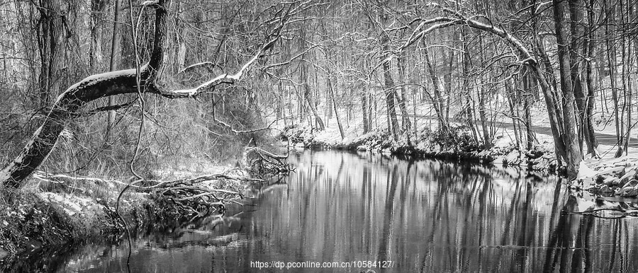 ׵˹԰(Ridley creek park)ѩؿѩ