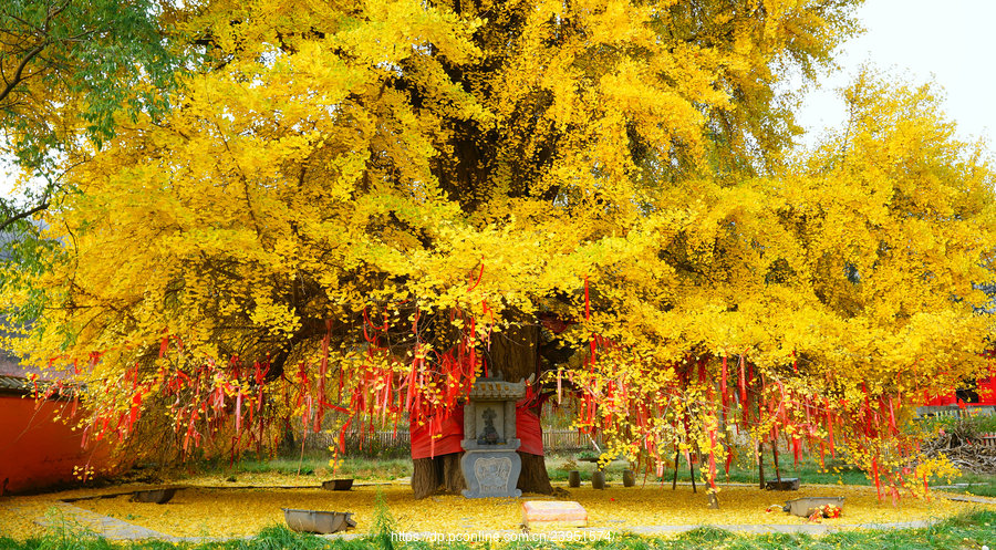 甘泉白鹿寺图片