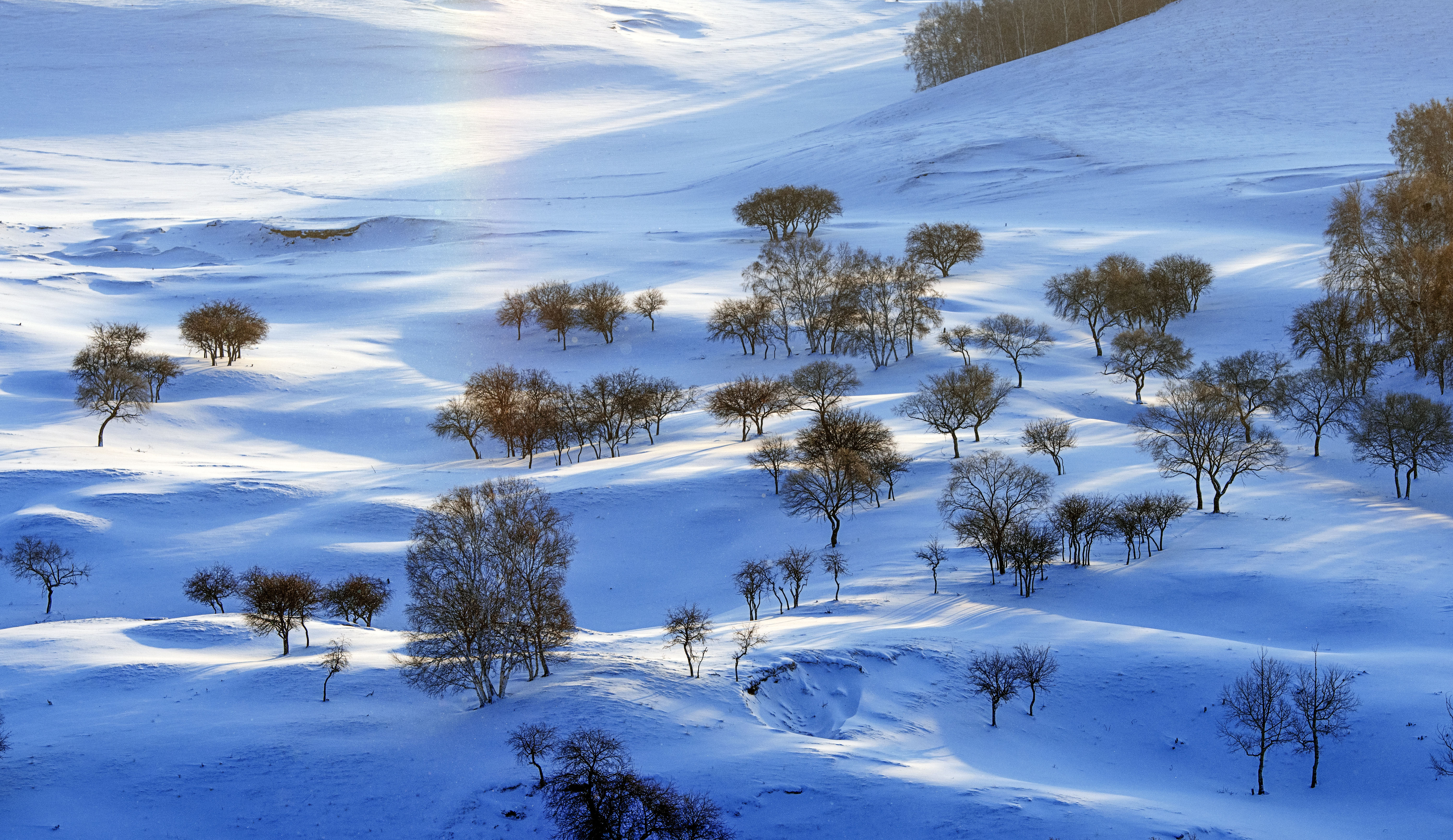 壩上雪域風光-2