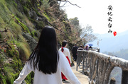 安化云台山风景区的杜鹃花景点