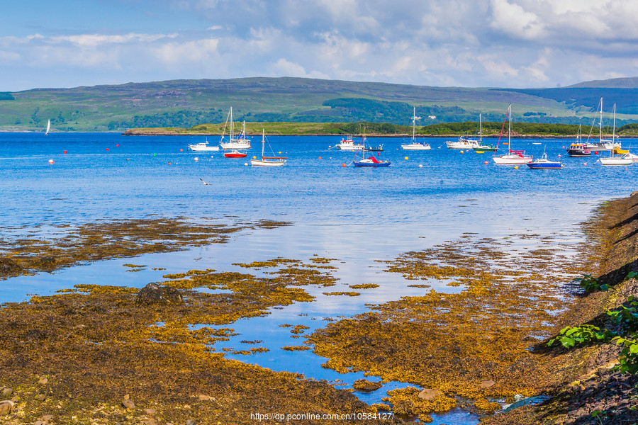 ոвĪ(Tobermory)С