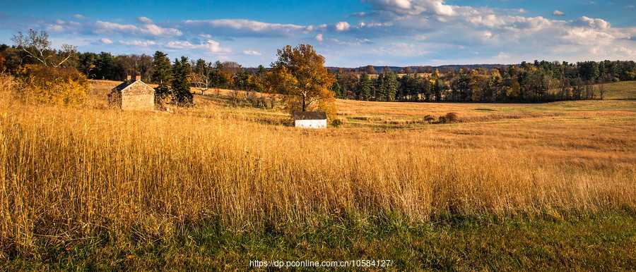 ݵĸ(Valley Forge)ս