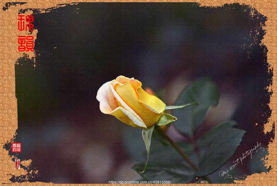 һΡΨõϮˡ(10)