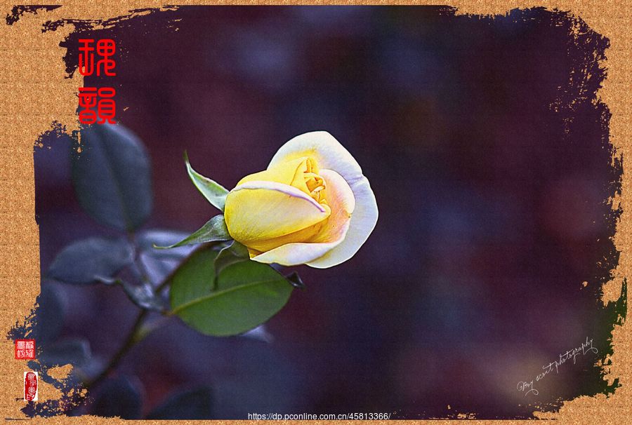 һΡΨõϮˡ(10)