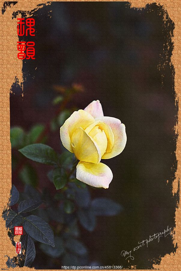 һΡΨõϮˡ(10)