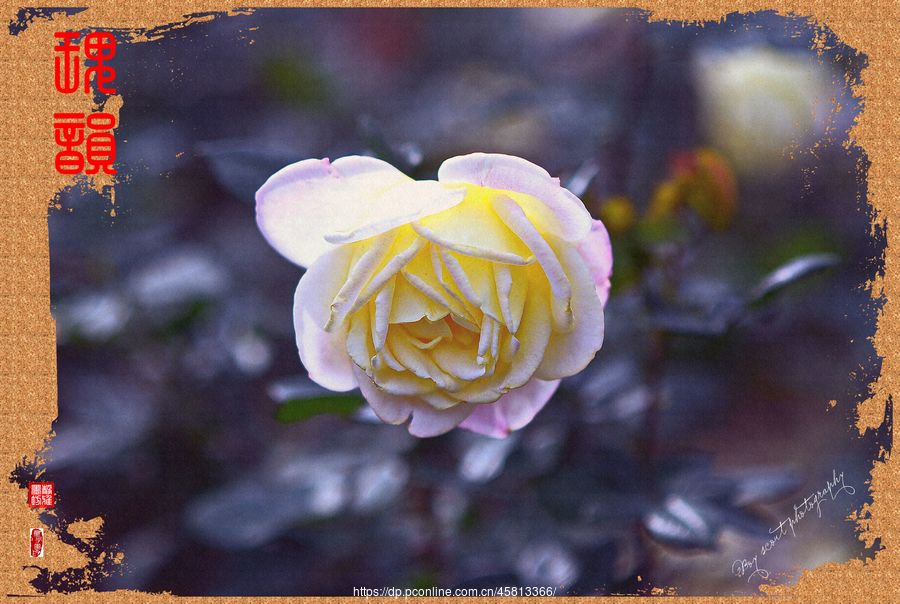 һΡΨõϮˡ(10)