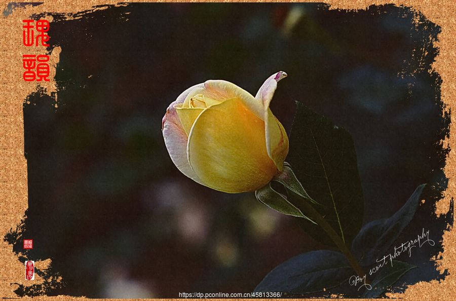 һΡΨõϮˡ(10)