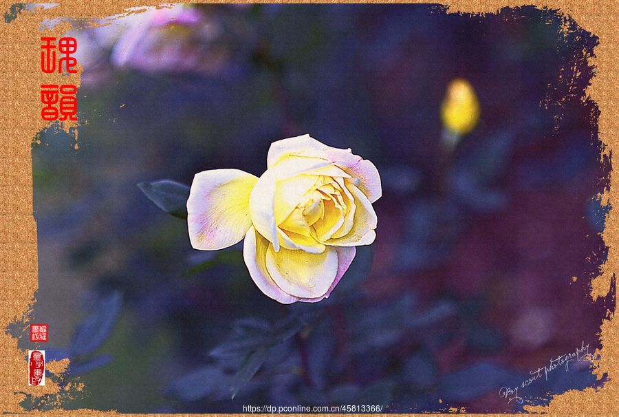 һΡΨõϮˡ(10)