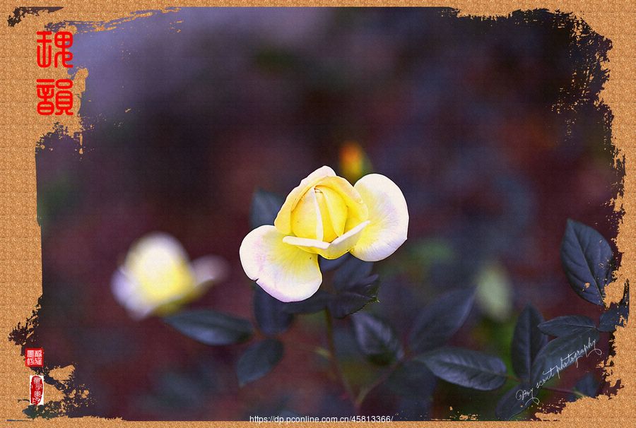 һΡΨõϮˡ(10)