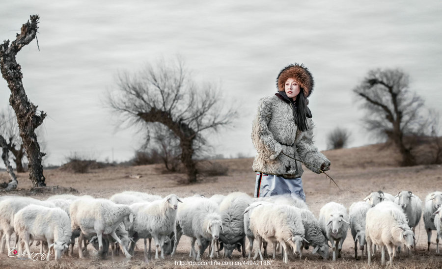 牧羊姑娘放牧图片图片