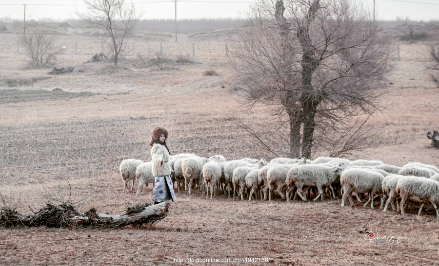 牧羊人女主角照片图片
