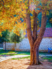 ޵ǿ˶ҹ԰(Krka National Park)ٲ