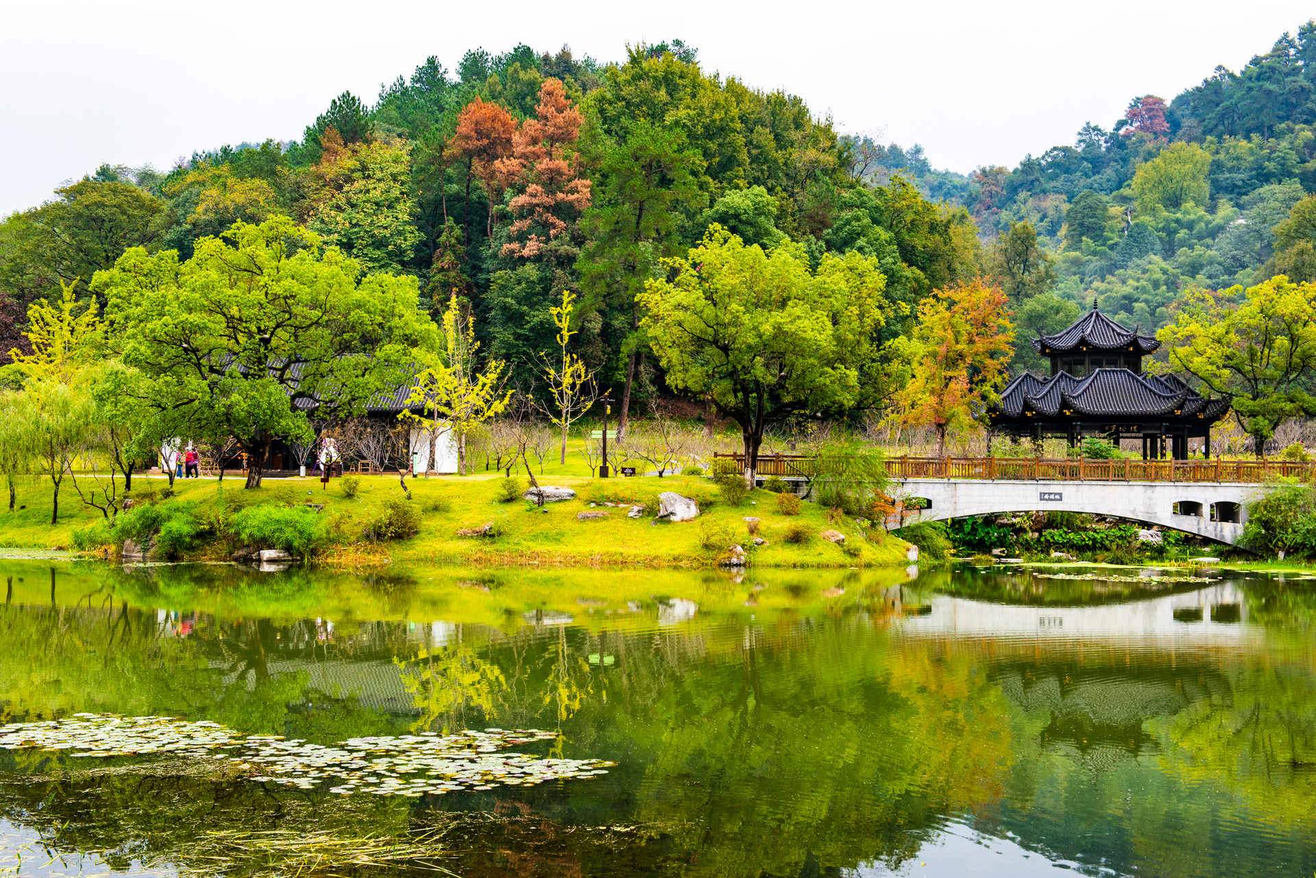 衢州七里桃花源风景区图片