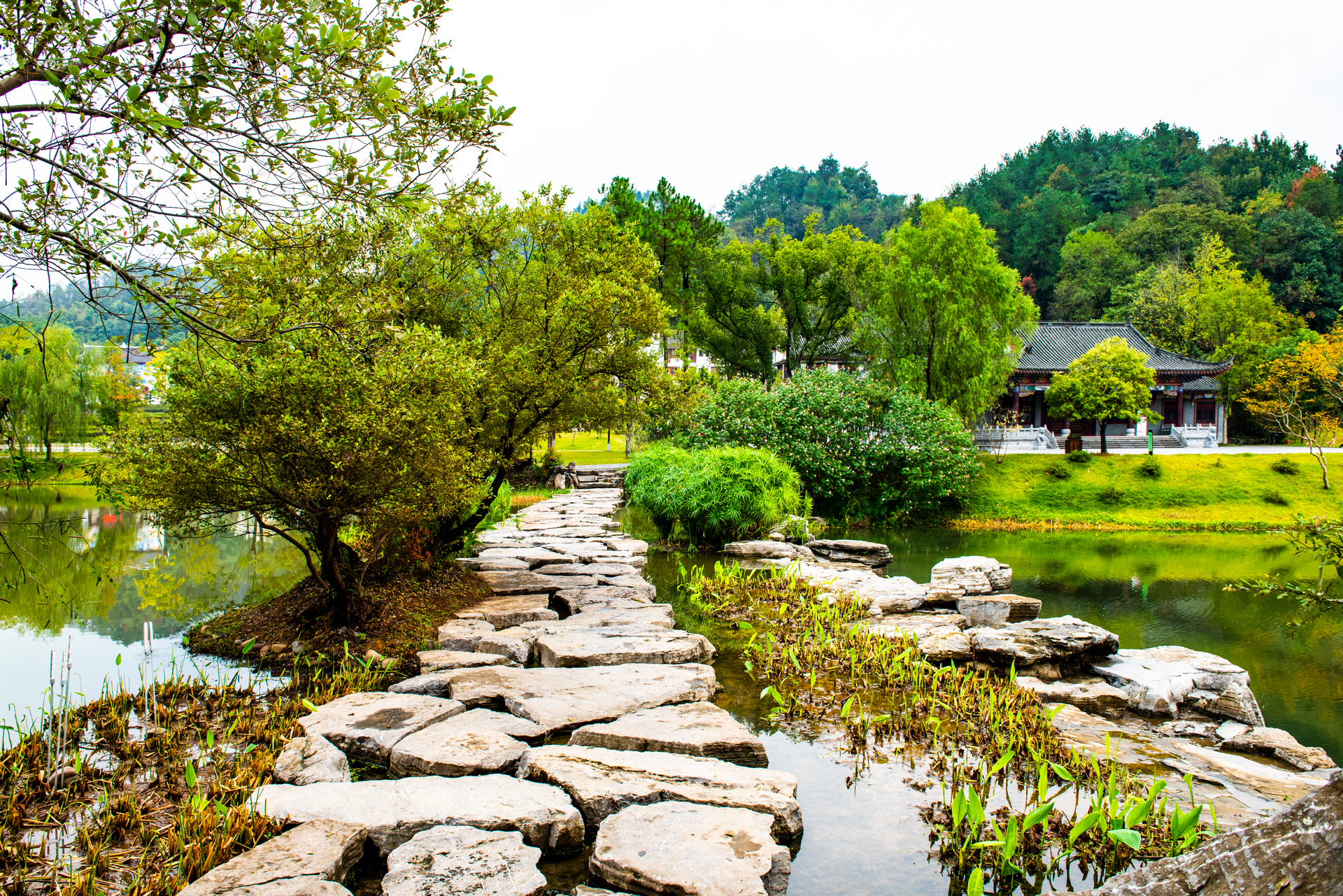 衢州七里桃花源风景区图片