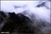 云雾山中拍在贵州