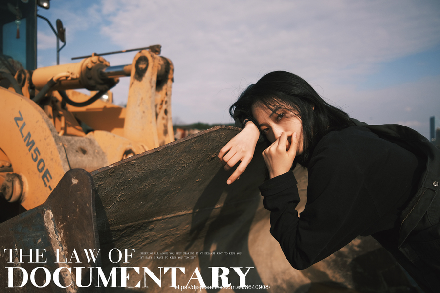 The  law of documentary