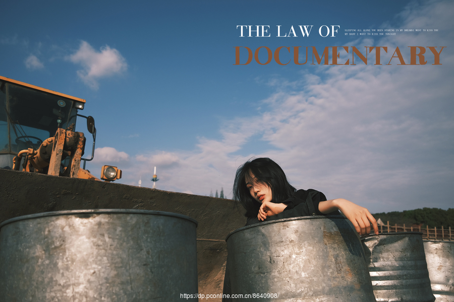 The  law of documentary