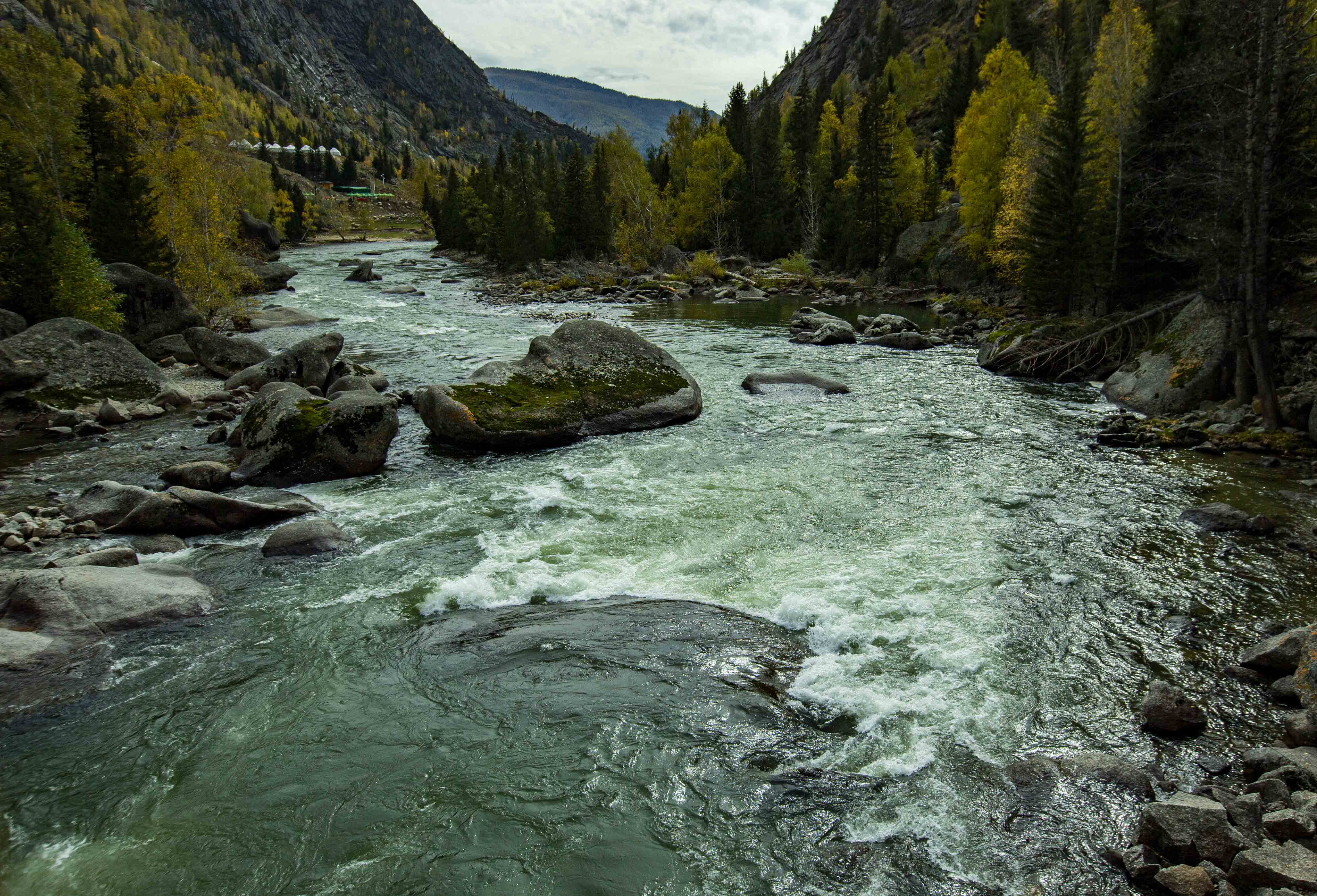 秋山秋水