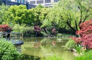 上海延安绿地公园