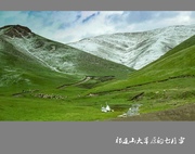 祁连山大草原的七月雪
