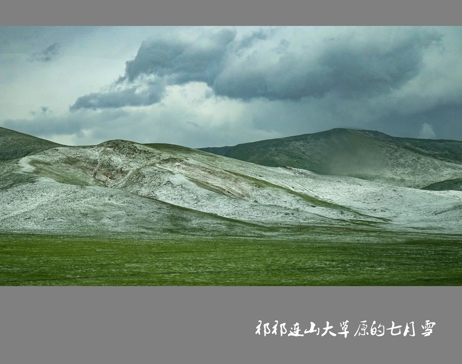 祁连山大草原的七月雪