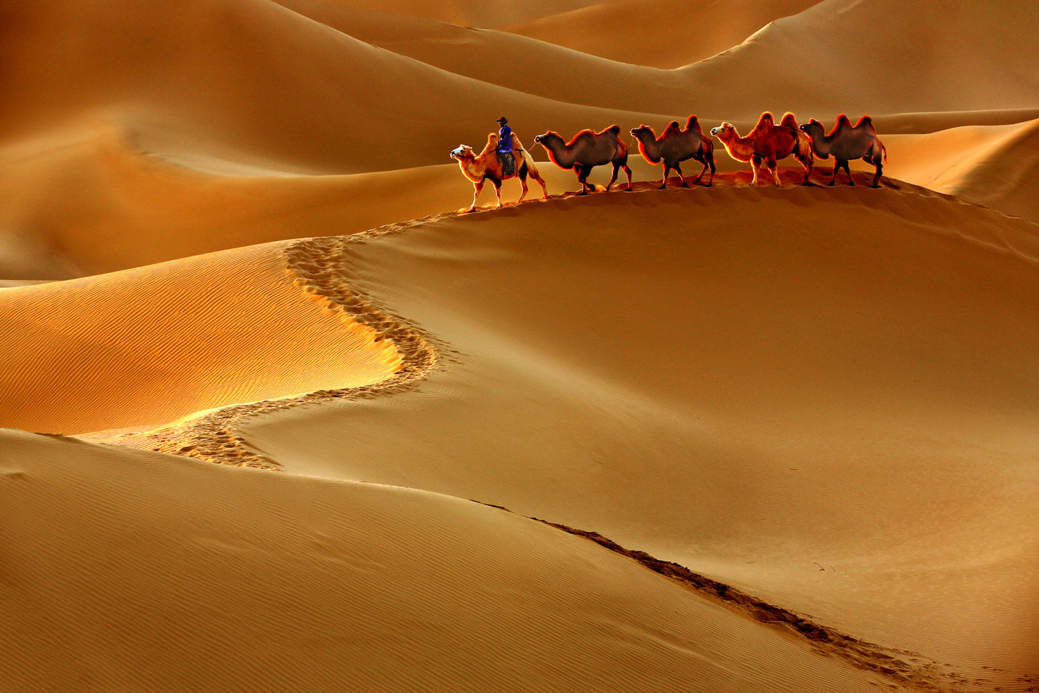 沙漠徒步旅游高清摄影图片jpg下载