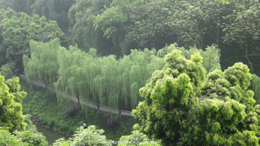 盘溪河春景