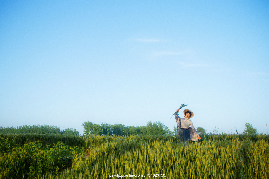 麥田